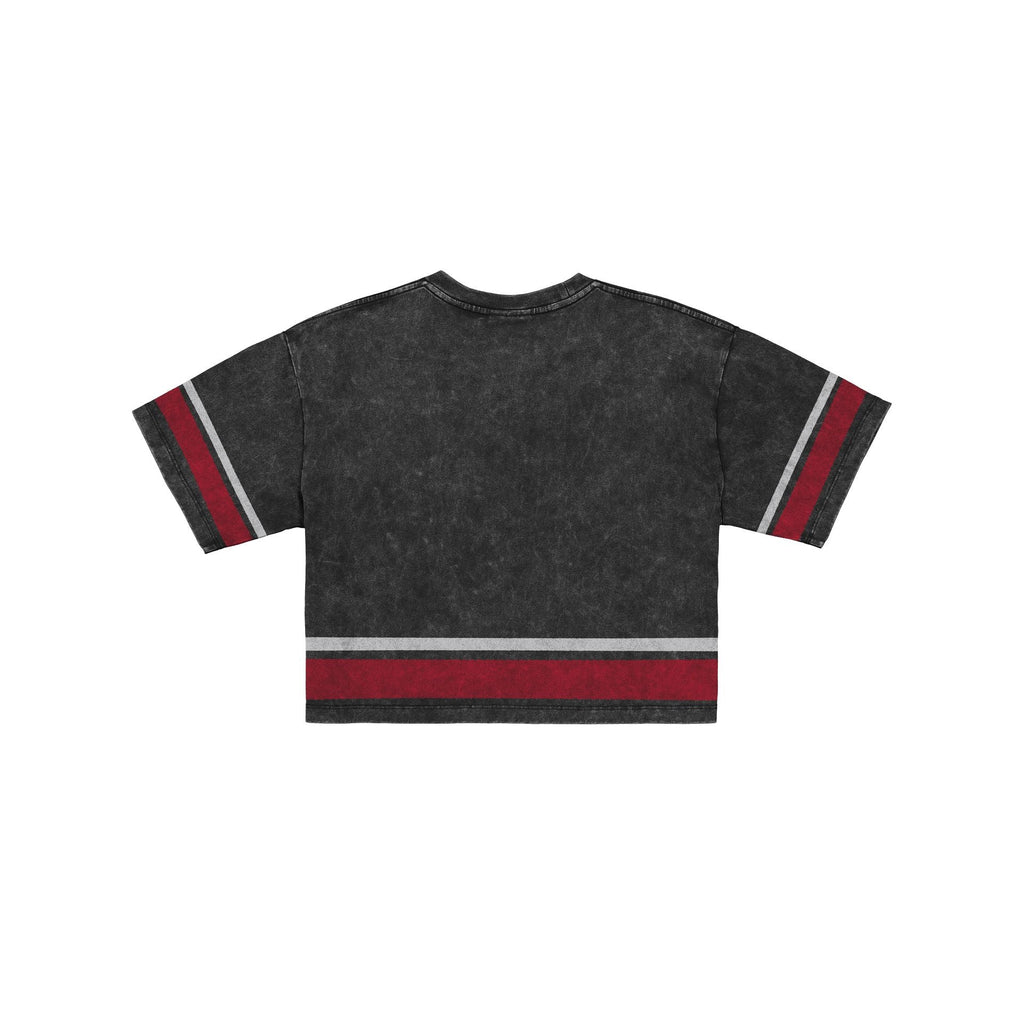 Boston Red Sox Women's Vintage Stripe Cropped T-Shirt